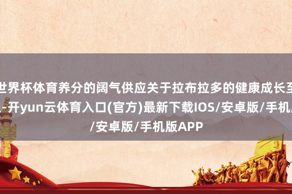 世界杯体育养分的阔气供应关于拉布拉多的健康成长至关蹙迫-开yun云体育入口(官方)最新下载IOS/安卓版/手机版APP