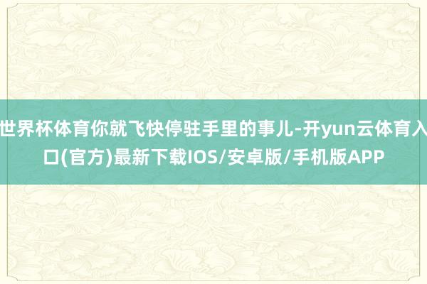 世界杯体育你就飞快停驻手里的事儿-开yun云体育入口(官方)最新下载IOS/安卓版/手机版APP