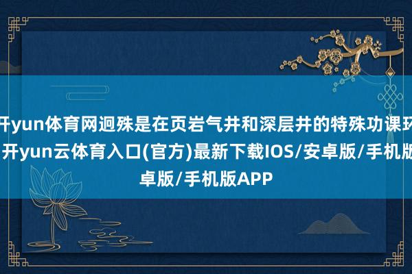 开yun体育网迥殊是在页岩气井和深层井的特殊功课环境中-开yun云体育入口(官方)最新下载IOS/安卓版/手机版APP