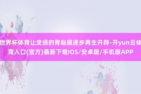 世界杯体育让受损的胃黏膜逐步再生开辟-开yun云体育入口(官方)最新下载IOS/安卓版/手机版APP