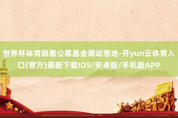 世界杯体育　　跟着公募基金调动落地-开yun云体育入口(官方)最新下载IOS/安卓版/手机版APP